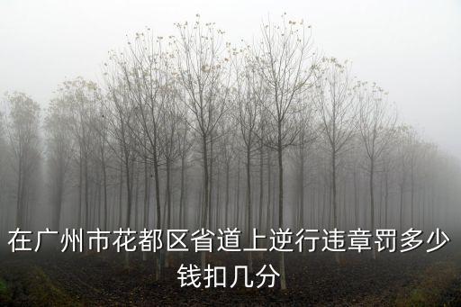 在廣州市花都區省道上逆行違章罰多少錢扣幾分