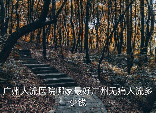 廣州人流醫院哪家最好廣州無痛人流多少錢