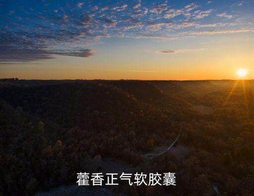 藿香正氣軟膠囊
