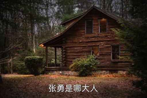 上海市最新任免公示張勇，張勇是丑男嗎