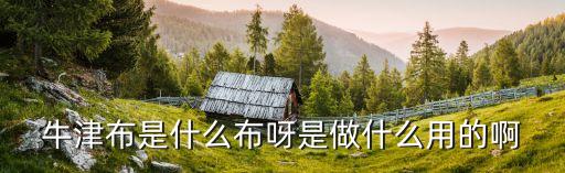 廣州智盛牛津布，現(xiàn)在的牛津布多少錢一米