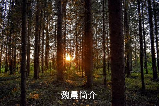 魏晨簡介