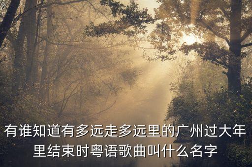 廣州過年花城看花 宇宙心音，廣州2010年過年有什么好玩節(jié)目