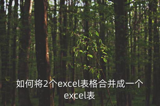 如何將2個excel表格合并成一個excel表