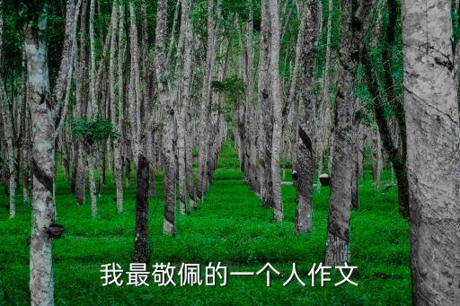 我最佩服的一個人，我最佩服的一個人作文400字
