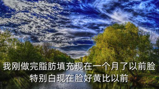 誰去過廣州華美全臉脂肪填充怎，有到廣州華美整容醫院去過斑的朋友我想問一下效果如何