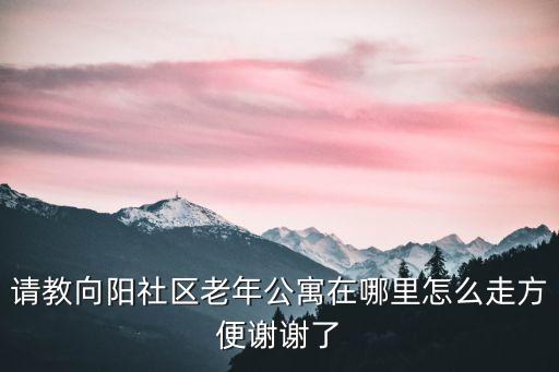 廣州向陽公寓，廣州這邊什么酒店有名氣適合情侶居住的