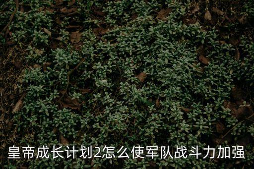 空軍廣州軍械修理廠改革，皇帝成長計劃2怎么使軍隊戰斗力加強