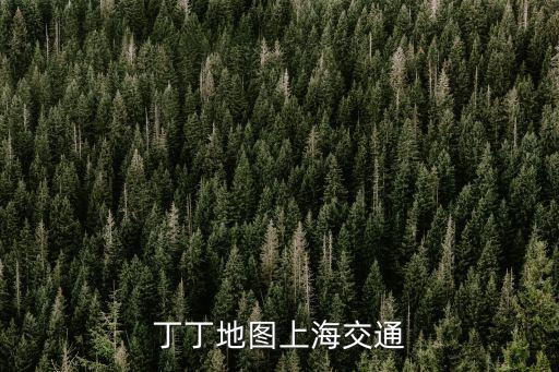 上海市駕駛員交通圖，丁丁地圖上海交通