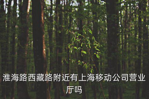 淮海路西藏路附近有上海移動公司營業廳嗎