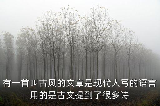 有一首叫古風的文章是現代人寫的語言用的是古文提到了很多詩