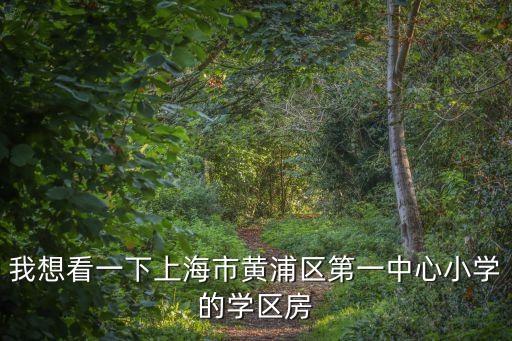 我想看一下上海市黃浦區(qū)第一中心小學(xué)的學(xué)區(qū)房