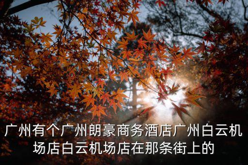 廣州有個(gè)廣州朗豪商務(wù)酒店廣州白云機(jī)場(chǎng)店白云機(jī)場(chǎng)店在那條街上的