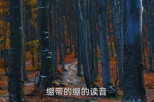 繃帶讀音，我想知道扎好繃帶的拼音