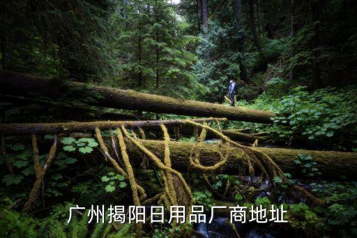 廣州野菜泥，適合廣東省地區(qū)種植的有機物野菜