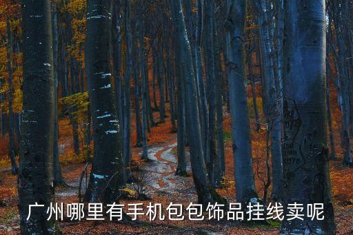 廣州哪里有手機(jī)包包飾品掛線賣呢