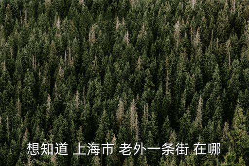 上海市外國人喜歡去的一條街，想知道 上海市 老外一條街 在哪