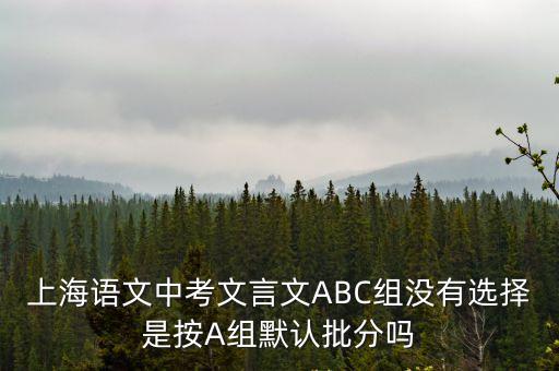 上海語文中考文言文ABC組沒有選擇是按A組默認批分嗎