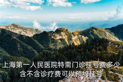 上海第一人民醫院特需門診掛號費多少含不含診療費可以預約掛號
