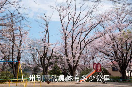 廣州黃陂和武漢黃陂，黃陂和武湖大家覺得哪個(gè)潛力大