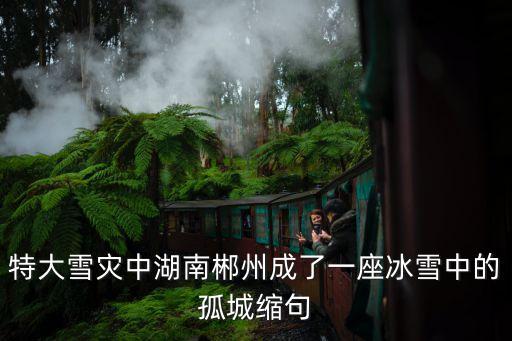 冰雪孤城，不知哪位親有的完整版
