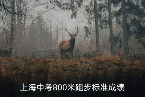 上海市初中生800米及格線，上海2009年中考體育女生800米及格線是多少