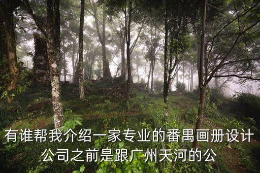 有誰幫我介紹一家專業(yè)的番禺畫冊設(shè)計公司之前是跟廣州天河的公
