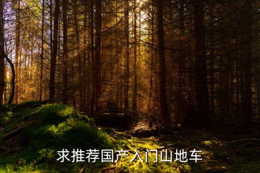 求推薦國產入門山地車