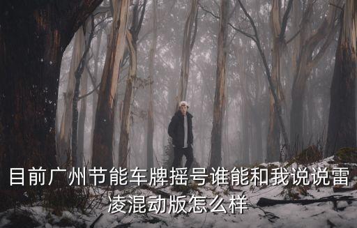 目前廣州節能車牌搖號誰能和我說說雷凌混動版怎么樣