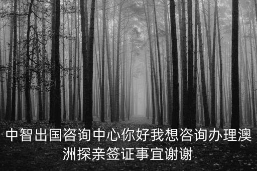 中智出國咨詢中心你好我想咨詢辦理澳洲探親簽證事宜謝謝