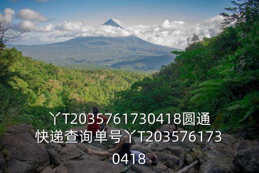 丫T2035761730418圓通快遞查詢單號丫T2035761730418