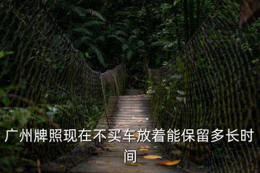 廣州牌照現(xiàn)在不買車放著能保留多長時間