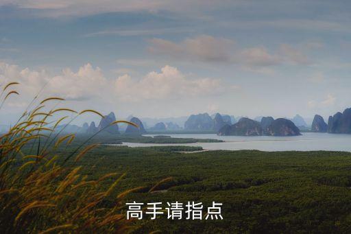 上海市廣信證券深度分析，高手請指點