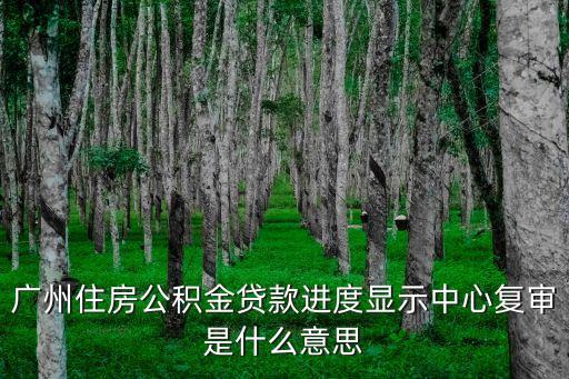 廣州住房公積金貸款進(jìn)度顯示中心復(fù)審是什么意思