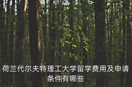 2021上海市北理科班，荷蘭代爾夫特理工大學(xué)留學(xué)費(fèi)用及申請條件有哪些