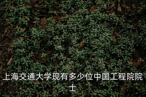 上海交通大學現有多少位中國工程院院士