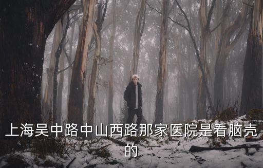 上海市九三醫院，上海去哪家醫院可以打免疫球蛋白