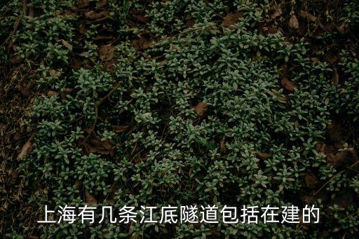 上海市獲得電力掘路，上海浦東地區(qū)最近一直在挖路誰知道是干什么用的