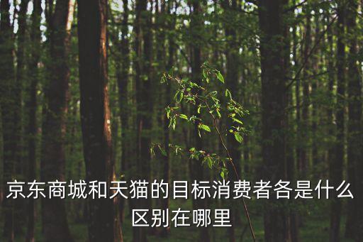 目標消費者，目標顧客名詞解釋是什么