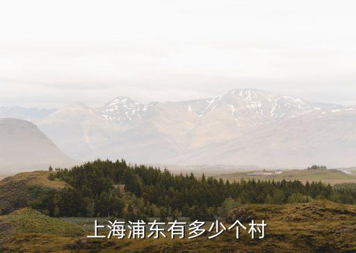 上海浦東有多少個村