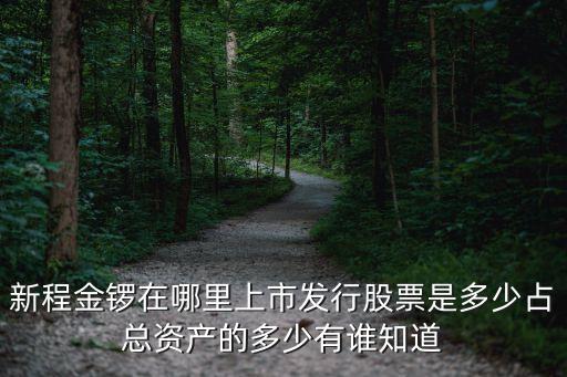 新程金鑼在哪里上市發(fā)行股票是多少占總資產(chǎn)的多少有誰知道