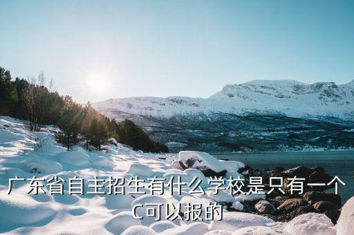 廣州普通高中獨立招生學校，廣東省自主招生有什么學校是只有一個C可以報的