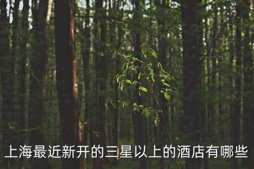 上海市靜安區三星酒店，到上海三星的賓館那里比較繁華一些
