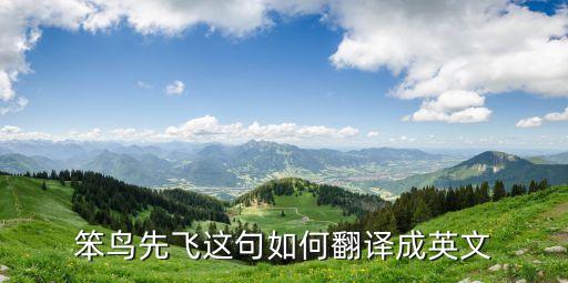 笨鳥先飛這句如何翻譯成英文