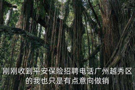 平安催收招聘 廣州，中國平安保險公司里的催收崗位
