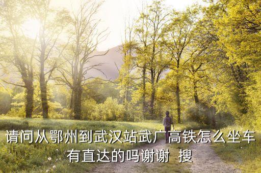 鄂州到廣州的大巴，請問從鄂州到武漢站武廣高鐵怎么坐車有直達的嗎謝謝  搜