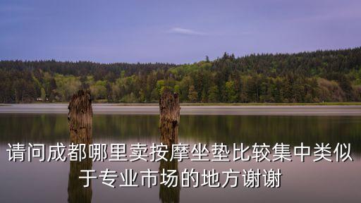 請問成都哪里賣按摩坐墊比較集中類似于專業(yè)市場的地方謝謝