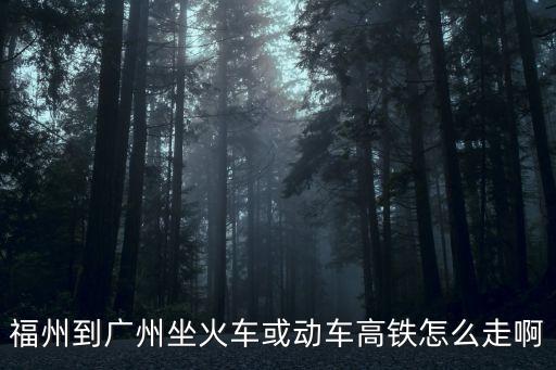 福州至廣州東動車，福州有到廣州的動車嗎 幾點的車車次多少 謝謝