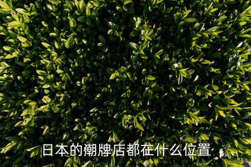 bape廣州限定，哪里可以買到超大型15周年限量BAPE公仔