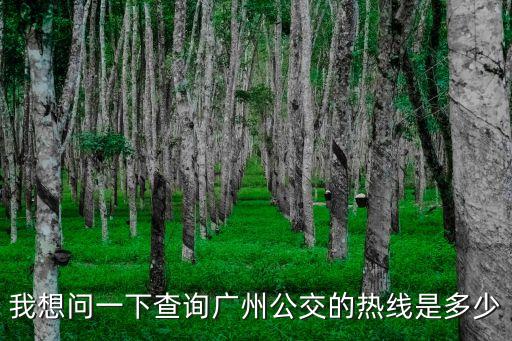 廣州公交車管理電話號碼是多少，我想問一下查詢廣州公交的熱線是多少